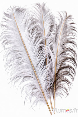 Struisvogel met fijne gouden straal - 38-42 cm - crème-grijs natuurlijk